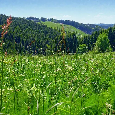 Ferienhauspark