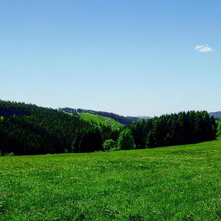 Ferienhauspark Ferienhaus Hasselfelde