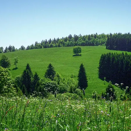 Ferienhauspark * Hasselfelde