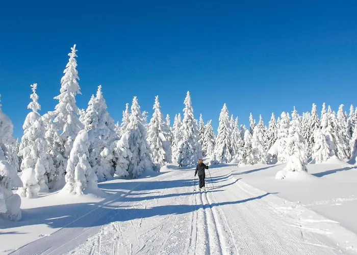 Ferienhauspark Hasselfelde