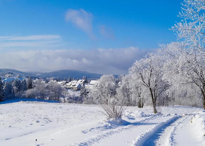 Semesterbostad Ferienhauspark
